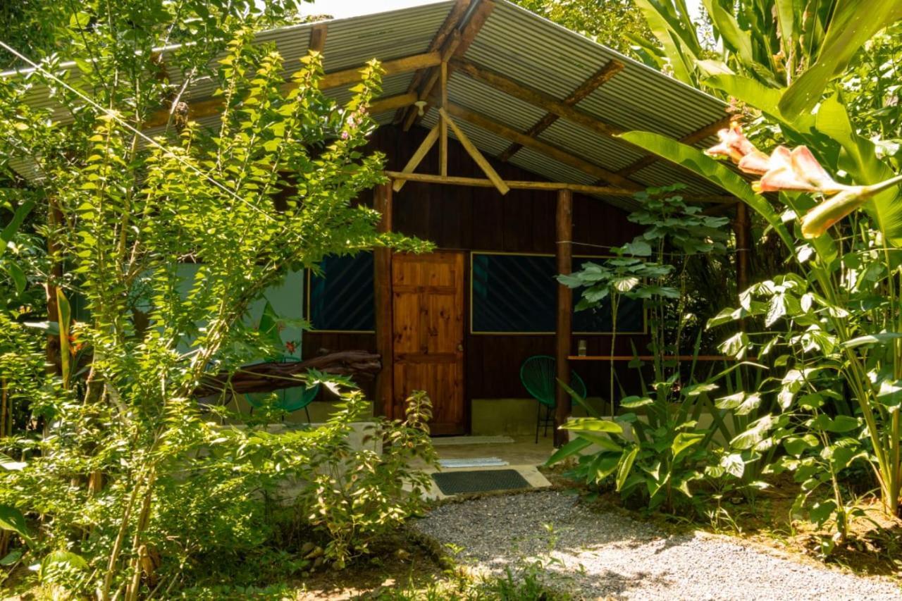Los Paniquines Ecolodge Drakes Bay Eksteriør billede